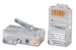 RJ_8-ModularPlug